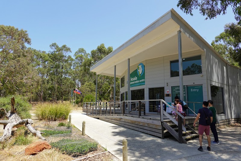 Koala Conservation Centre photo 2