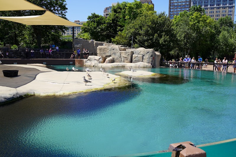Kovler Seal Pool photo 2