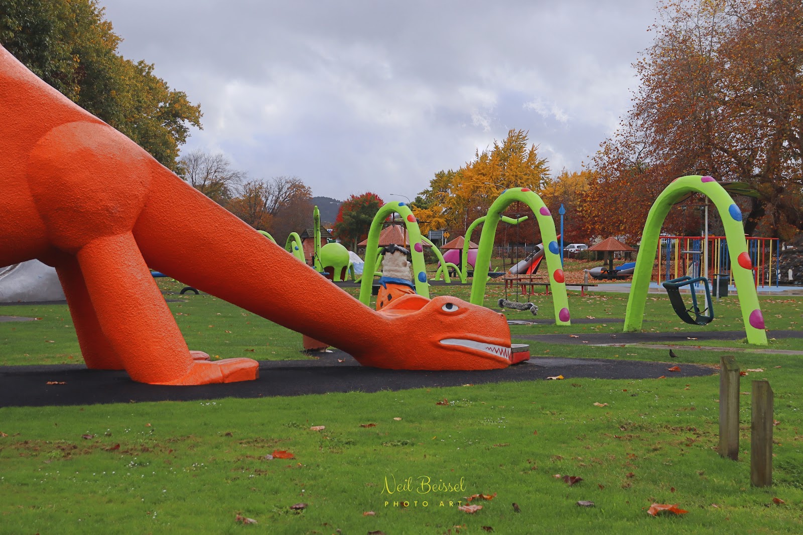 Kowhai Park Family Playground photo 2