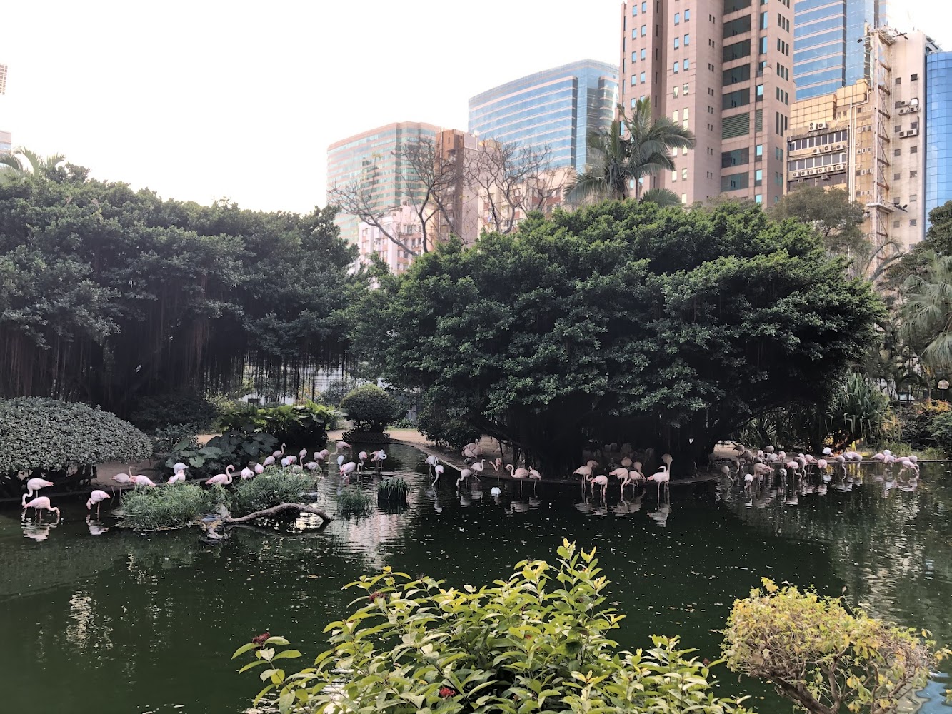 Kowloon Park Children's Playground photo 5