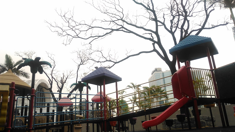 Kowloon Park Discovery Playground