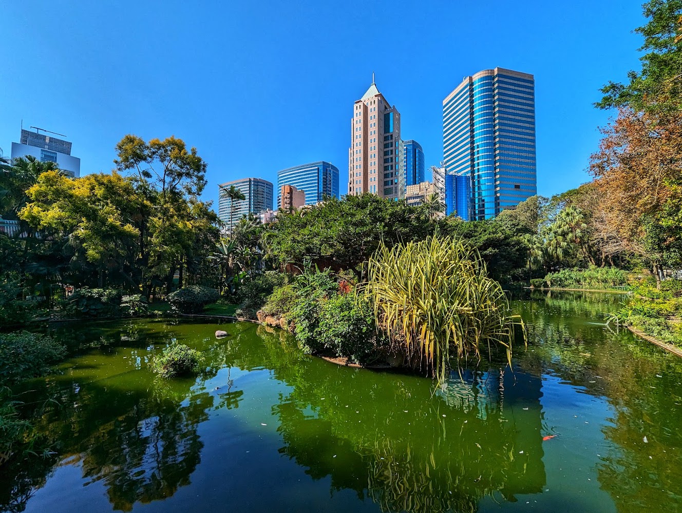 Kowloon Park photo 2