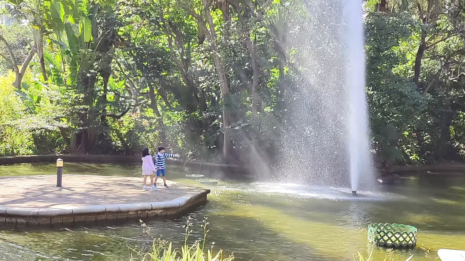 Kowloon Park photo 3