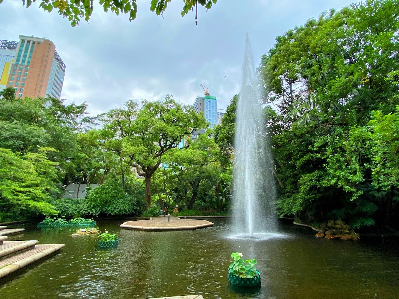 Kowloon Park photo 4