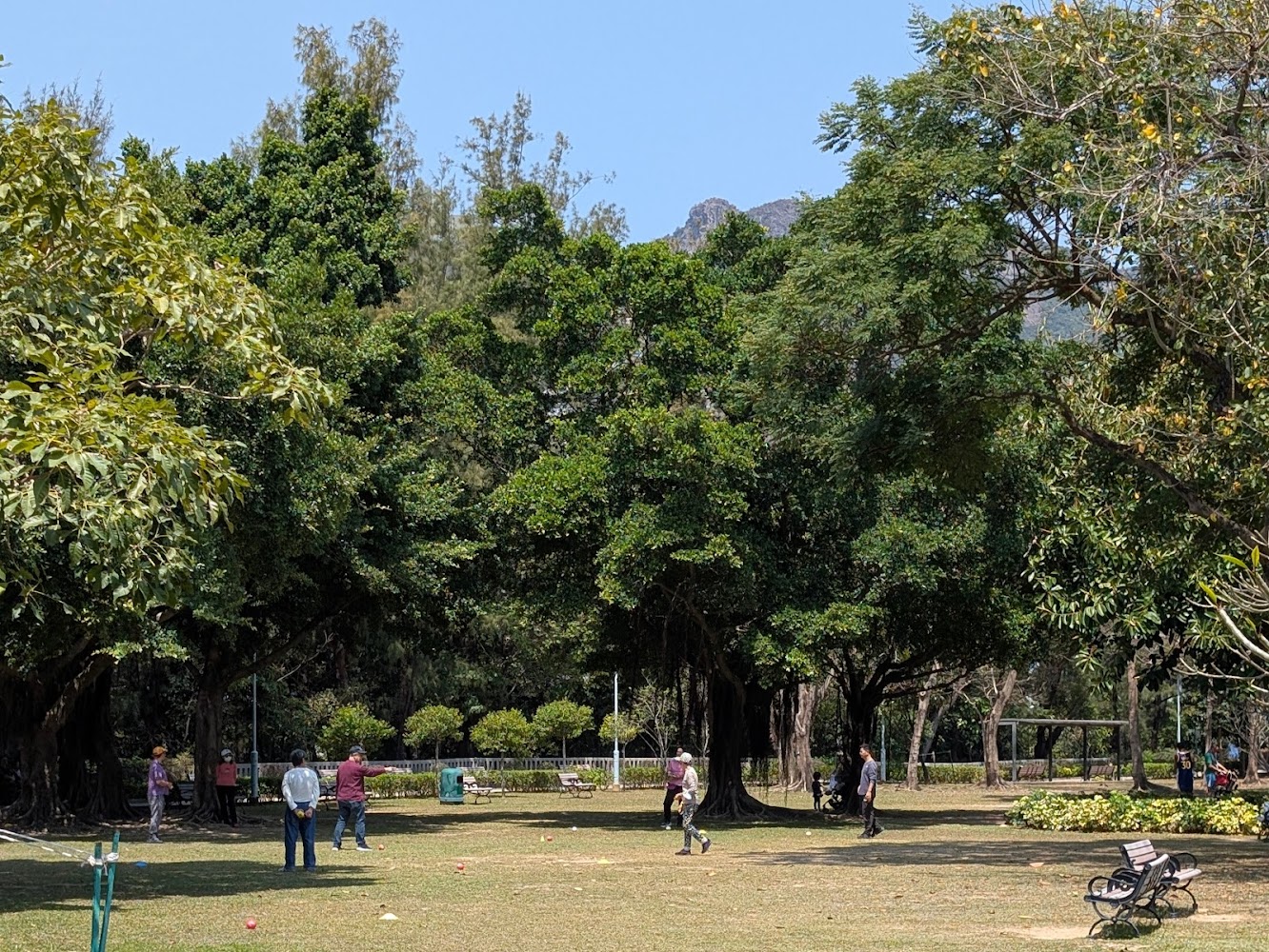 Kowloon Tsai Park photo 4