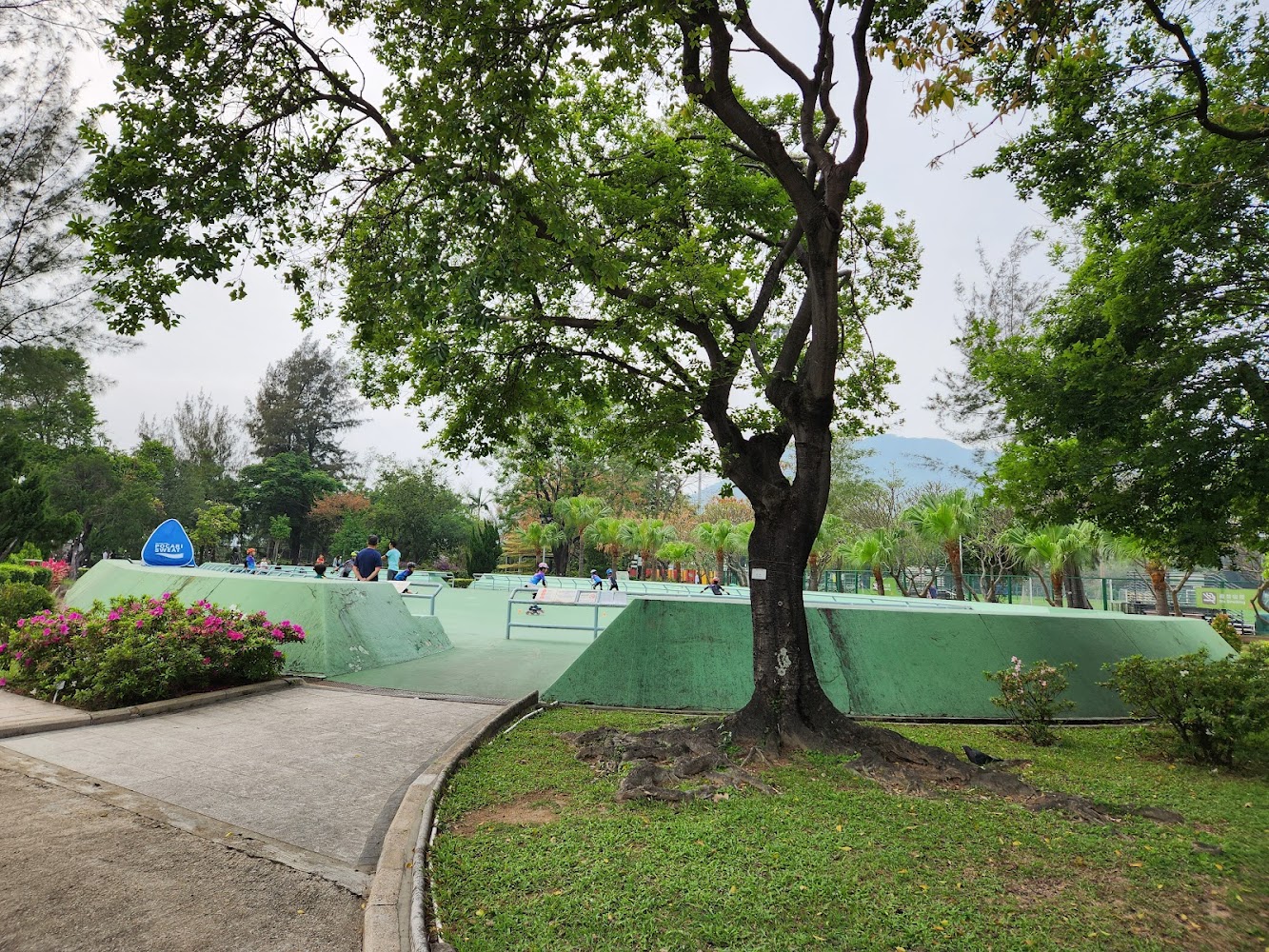 Kowloon Tsai Park Roller Skating Rink photo 4