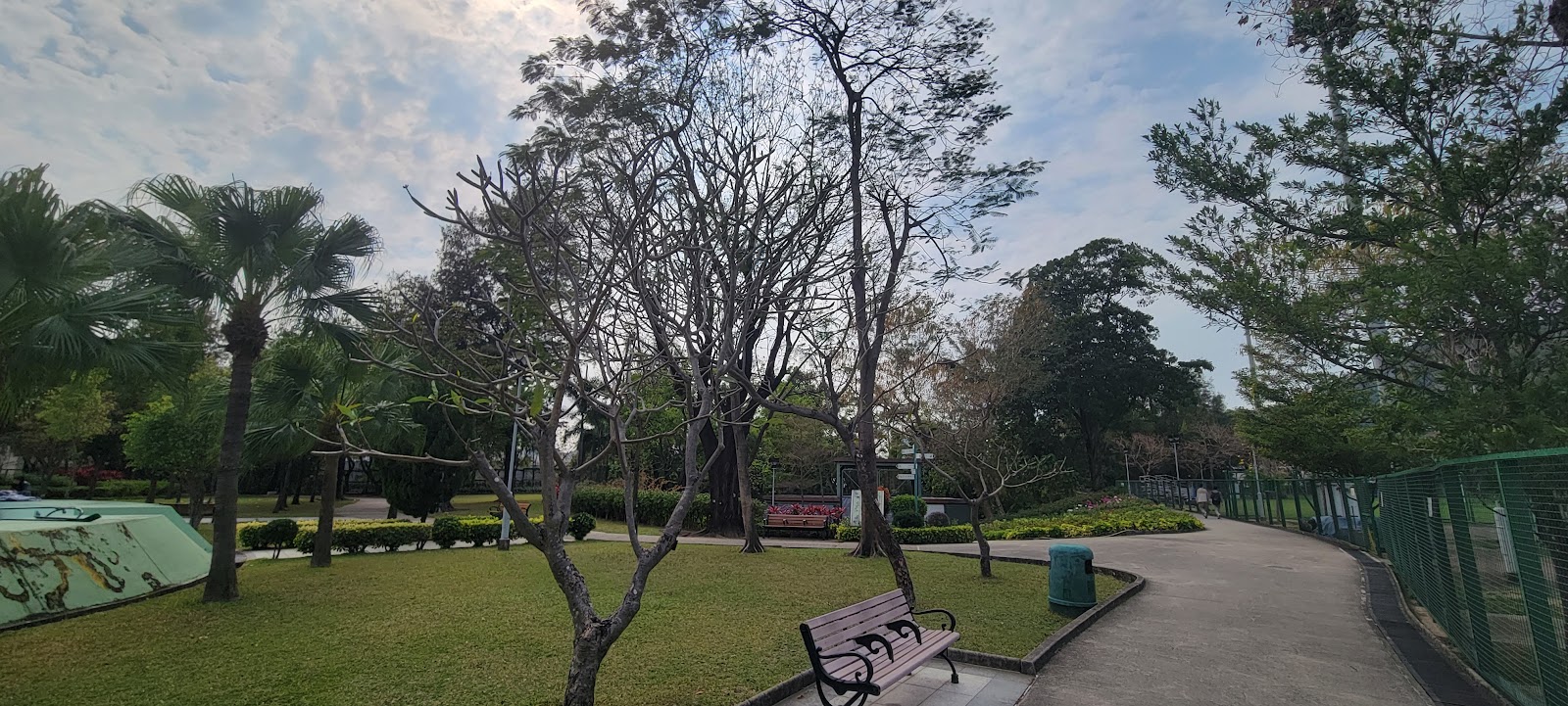Kowloon Tsai Park Roller Skating Rink photo 5