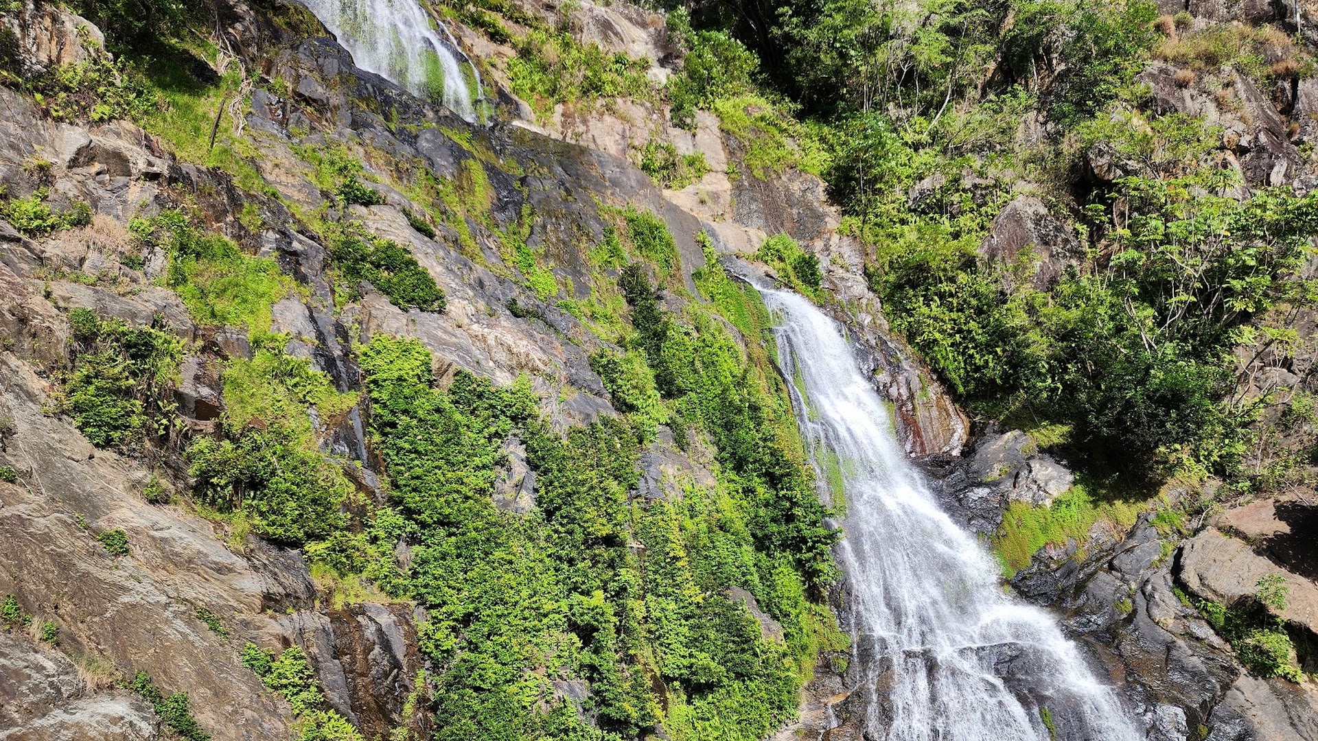 Kuranda Scenic Railway photo 3