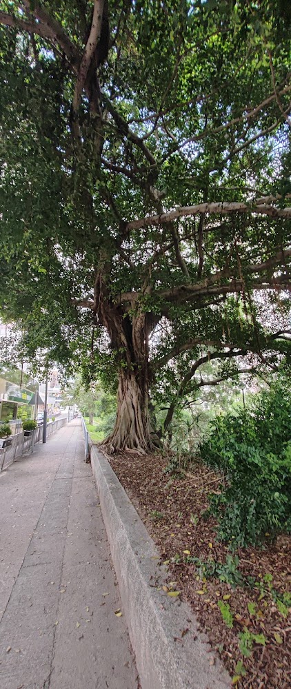 Kwai Shing Playground photo 5