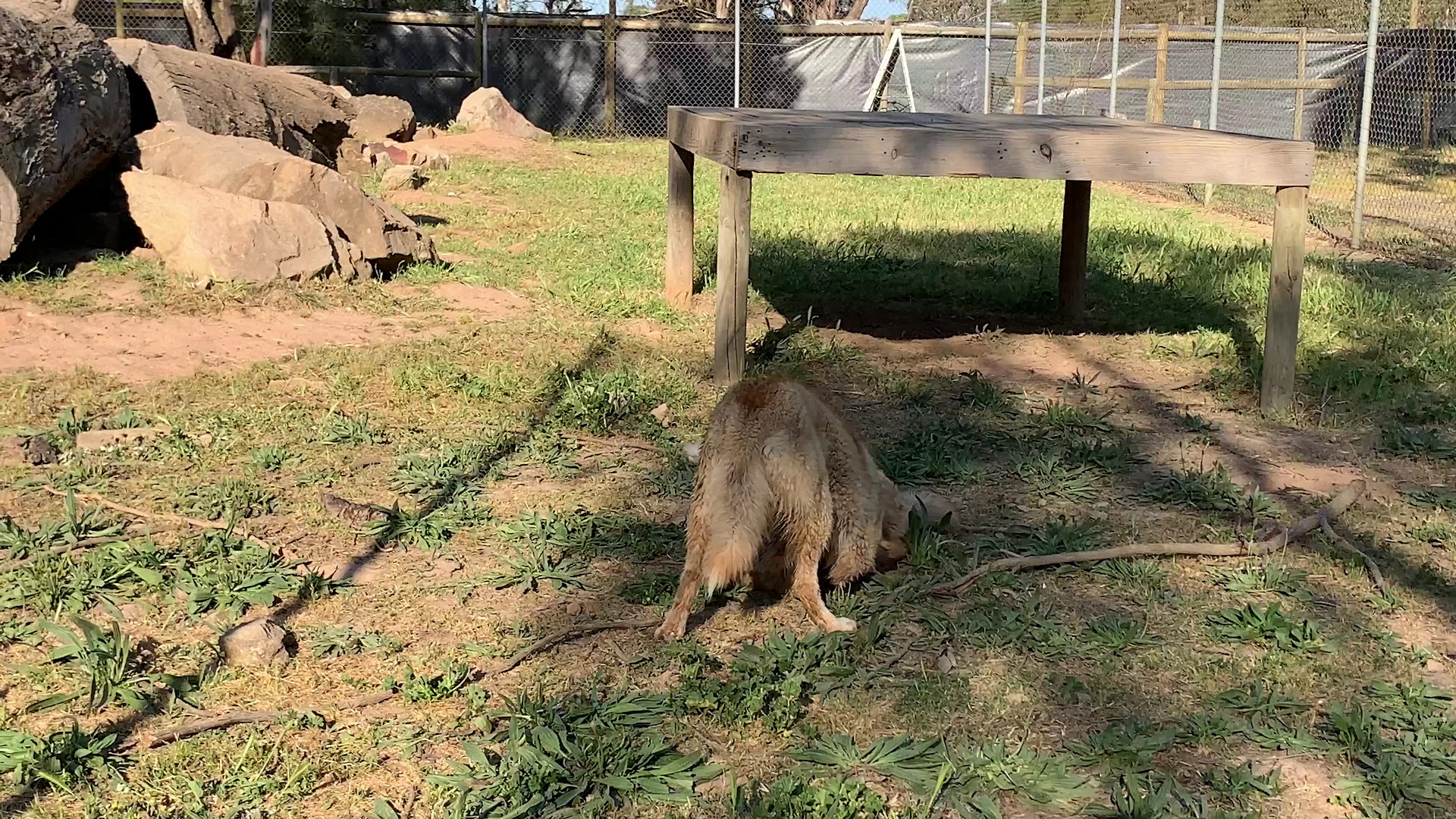 Kyabram Fauna Park (Zoos Victoria) photo 2