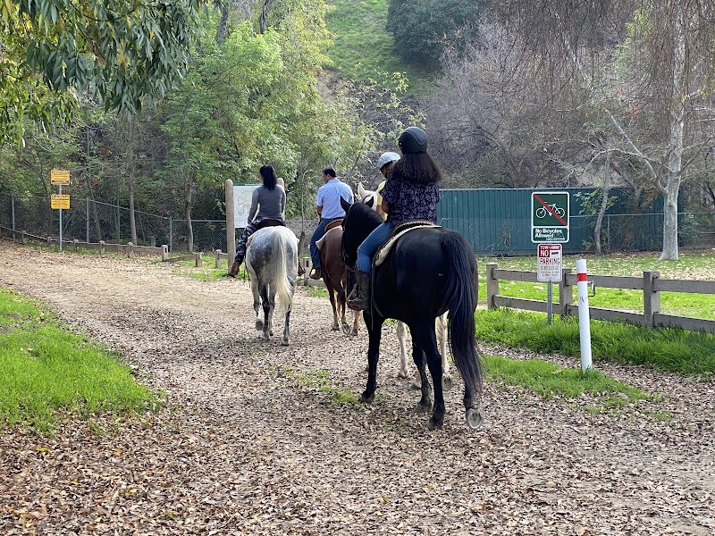 LA Horse Rentals