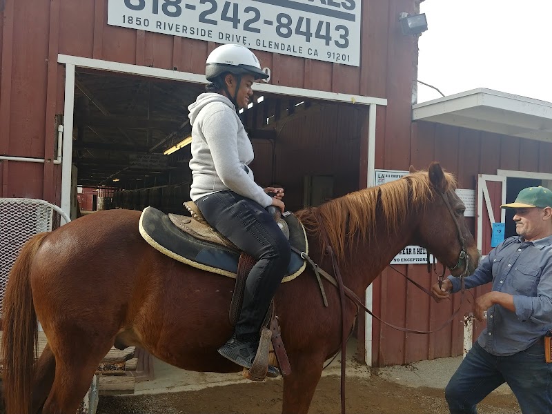 LA Horse Rentals photo 2