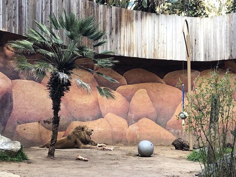 LA Zoo photo 3