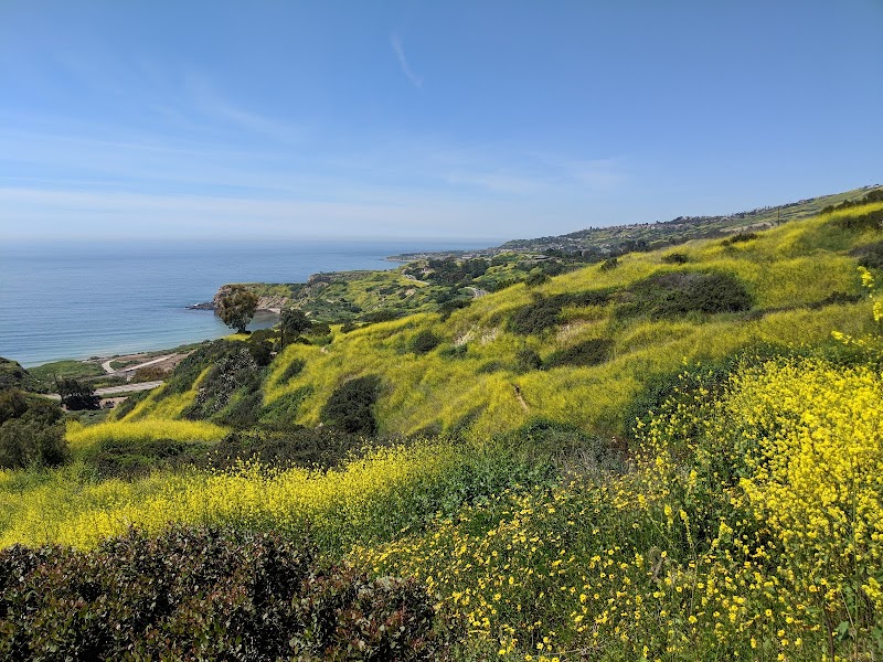 Ladera Linda Park photo 2