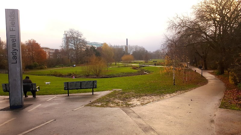 Ladywell Fields photo 2