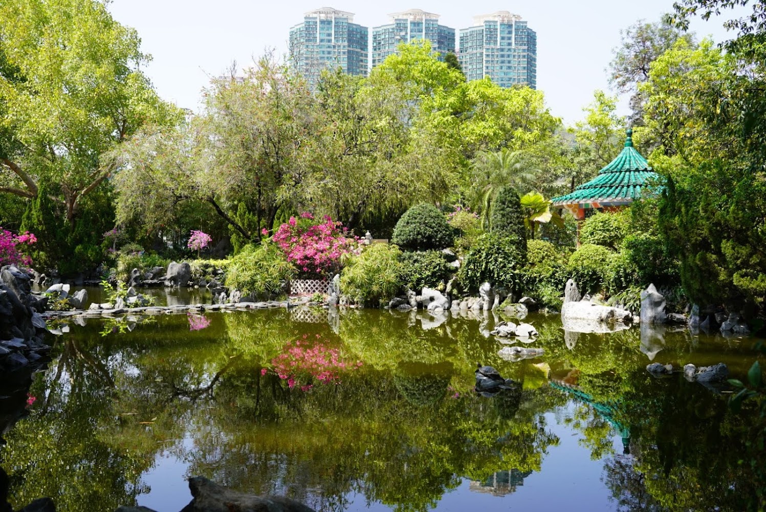 Lai Chi Kok Park photo 5