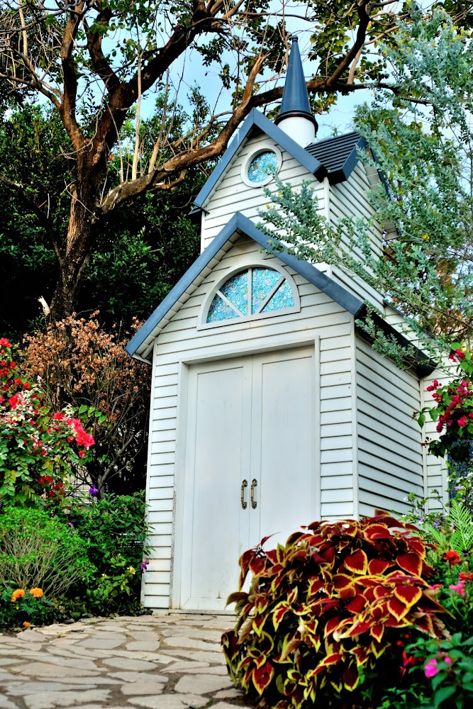 Lai Chi Kok Park Skatepark photo 4
