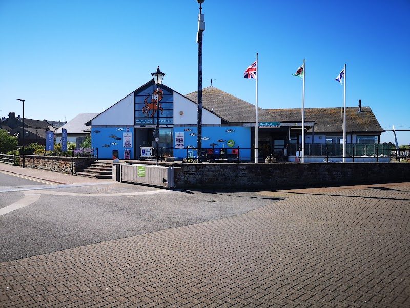 Lake District Coast Aquarium, Maryport photo 2