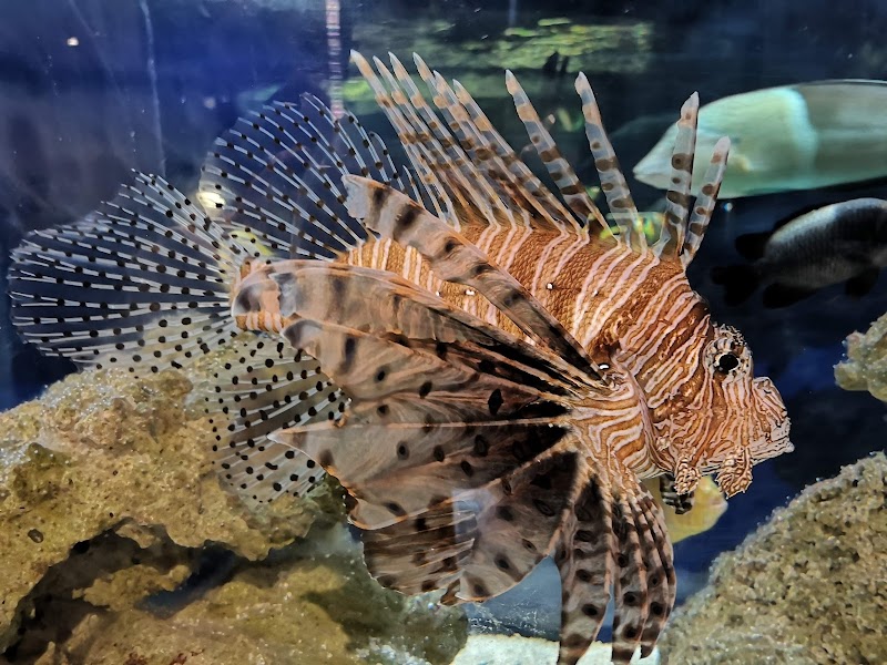 Lake District Coast Aquarium, Maryport photo 3