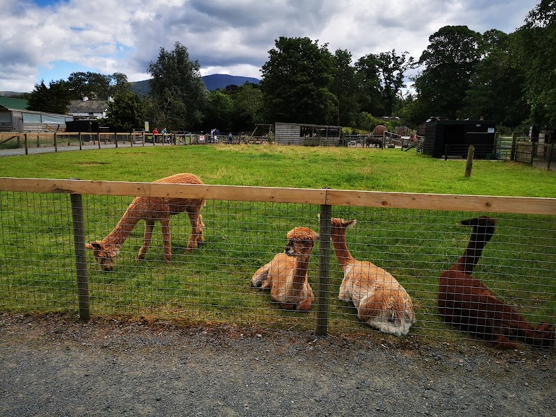 Lake District Wildlife Park photo 2