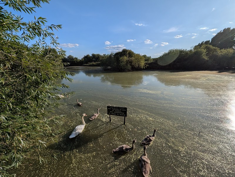 Lake | South Norwood Country Park