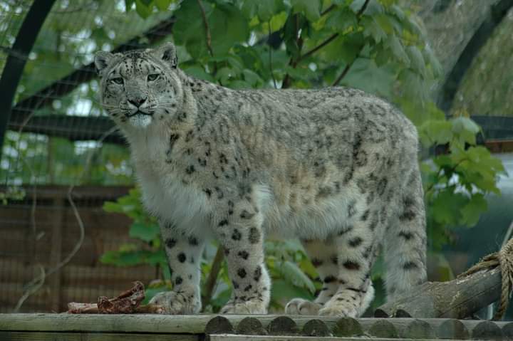 Lakeland Wildlife Oasis photo 3