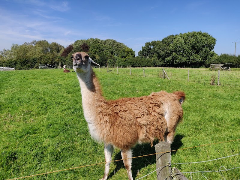 Lakemore Farm Park photo 2