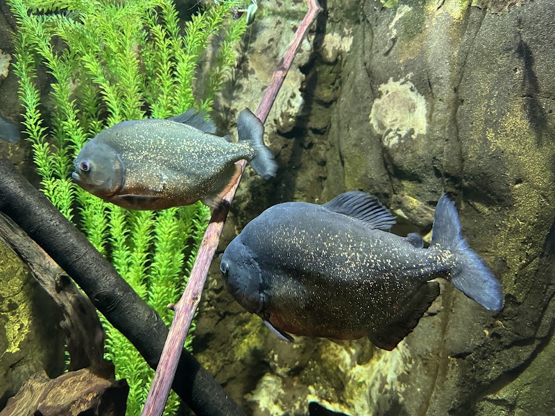 Lakes Aquarium photo 2