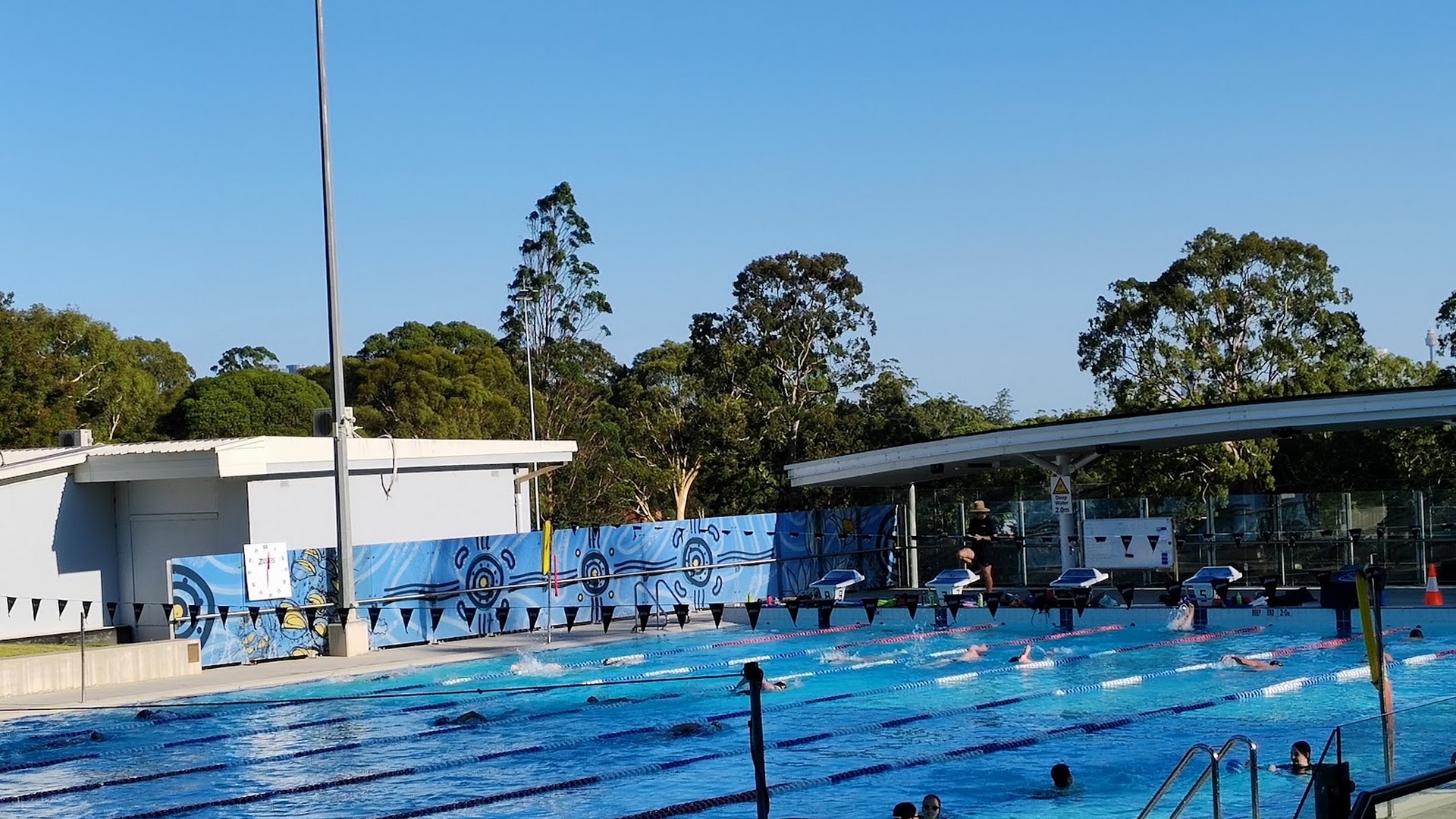 Lane Cove Aquatic photo 3