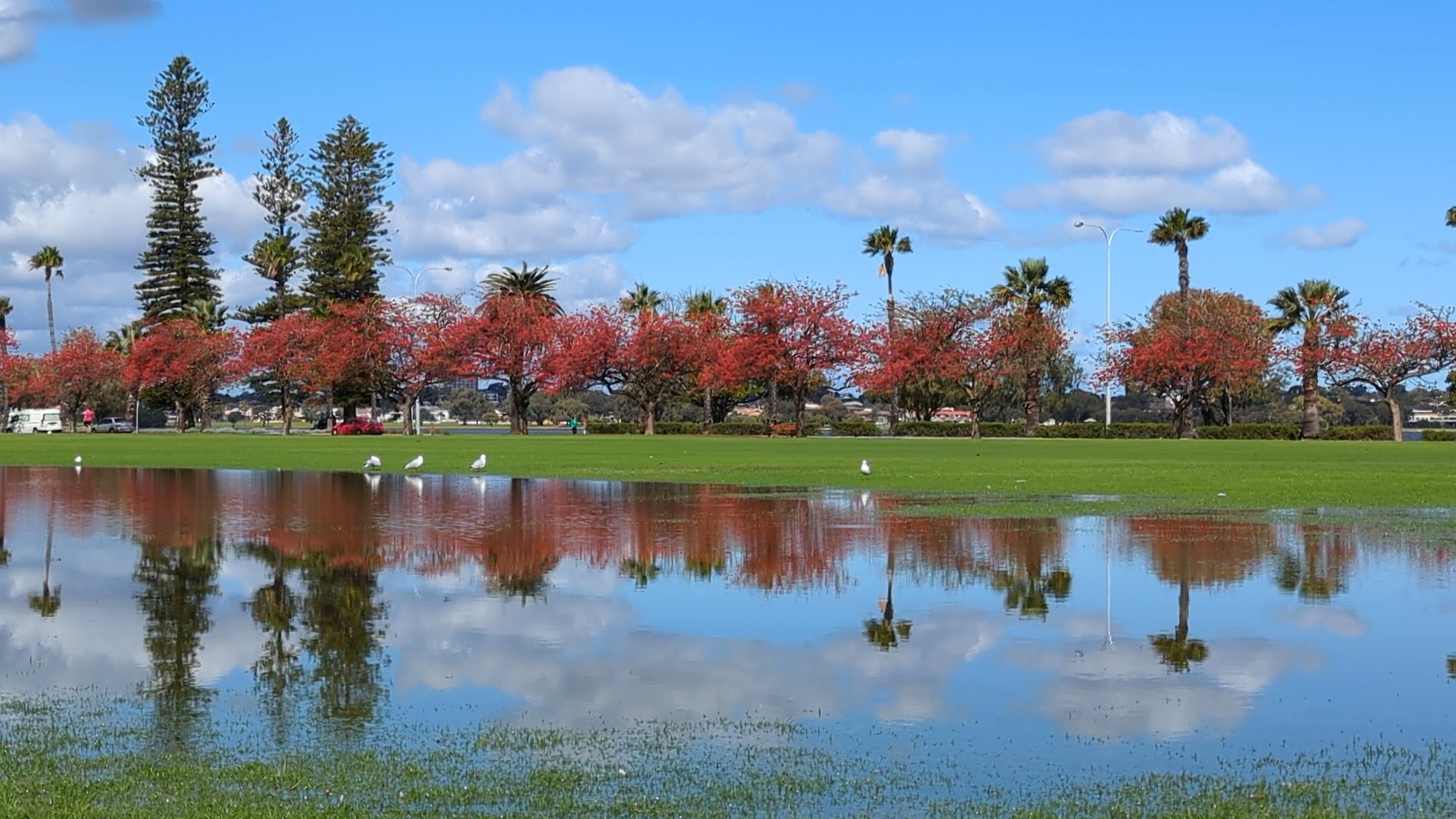 Langley Park Playground photo 2