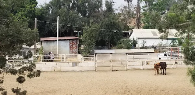 Las Trancas Ranch photo 2
