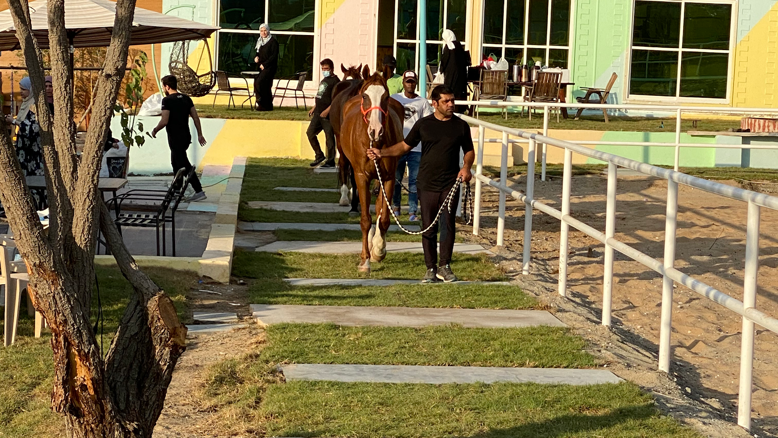 LAST LOOP STABLE "إسطبل الحلقة الاخيرة "حلقة النصر photo 2