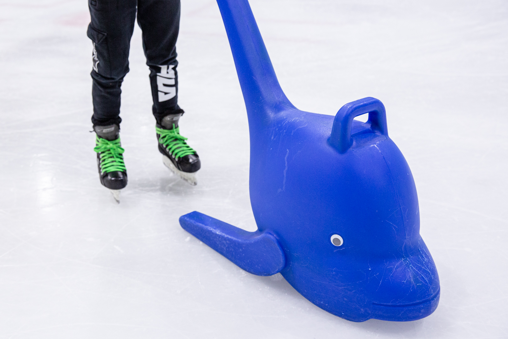 LCC Ice Rink photo 2