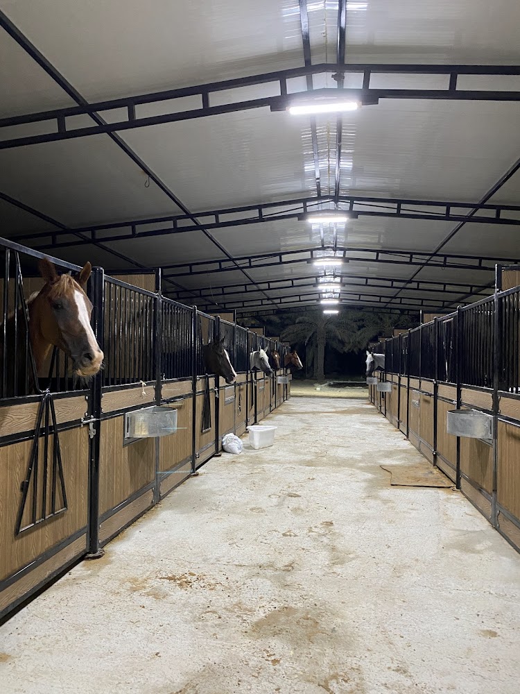 اسطبلات LE Palma stables photo 2