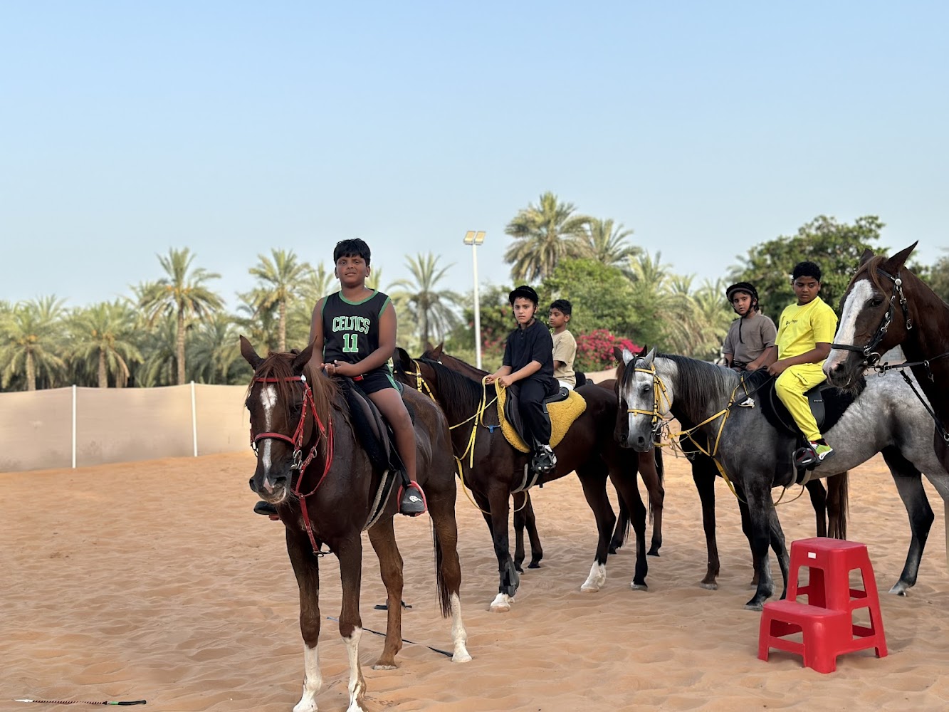 اسطبلات LE Palma stables photo 4