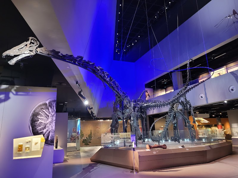Lee Kong Chian Natural History Museum, Singapore photo 3