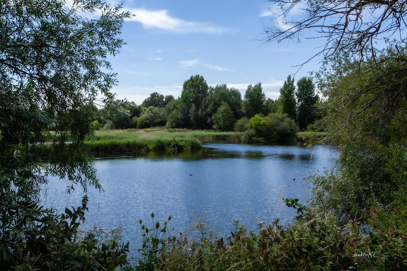 Lee Valley Wildlife Discovery Centre photo 3