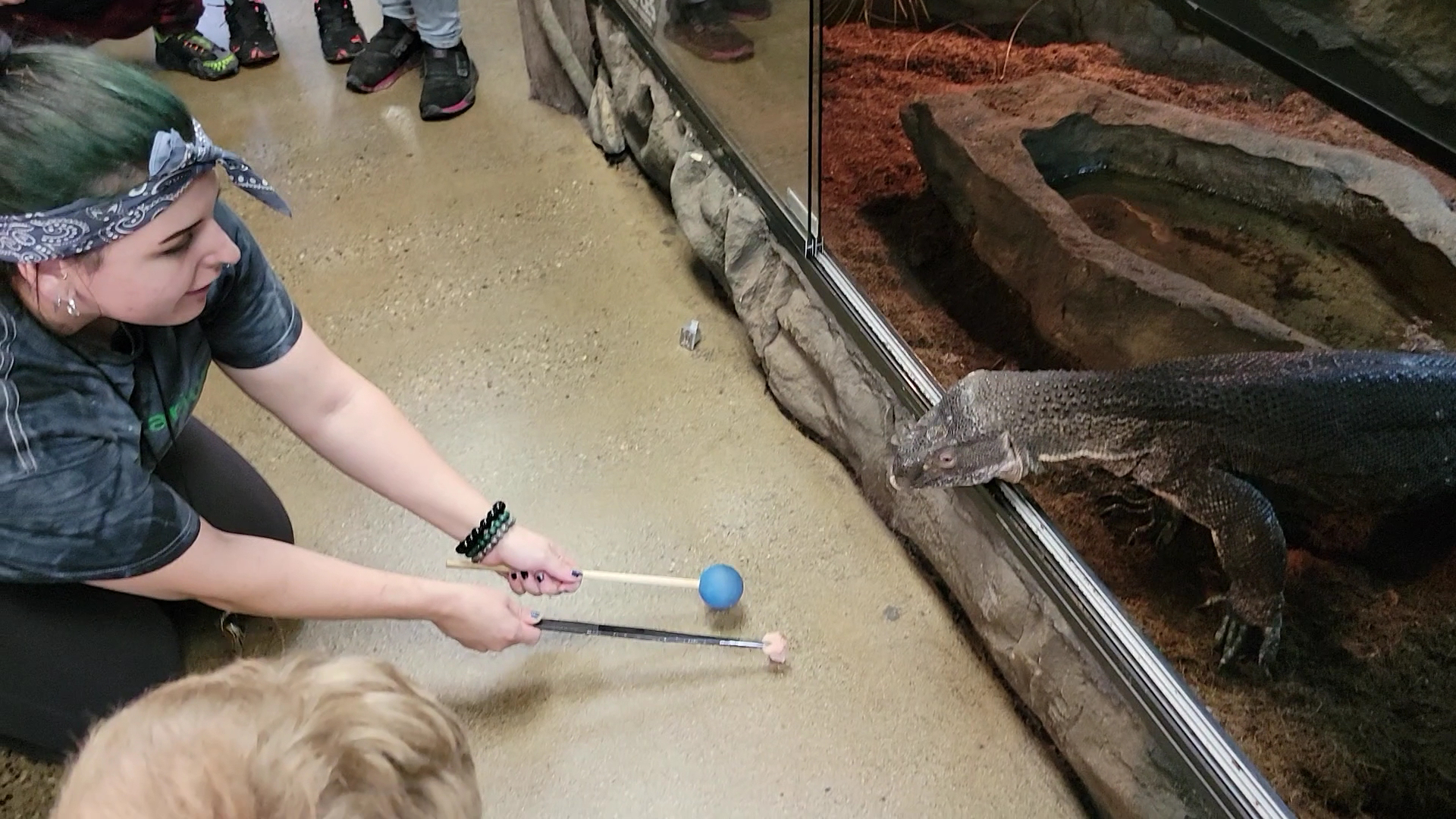 LegaSea Aquarium & The Reptarium photo 2