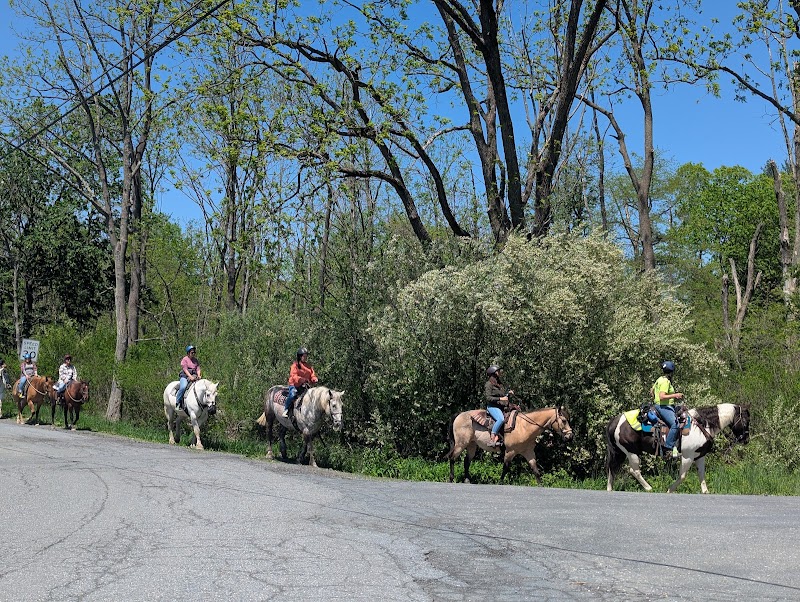 Photo of Lehigh Valley Trail Rides in New York