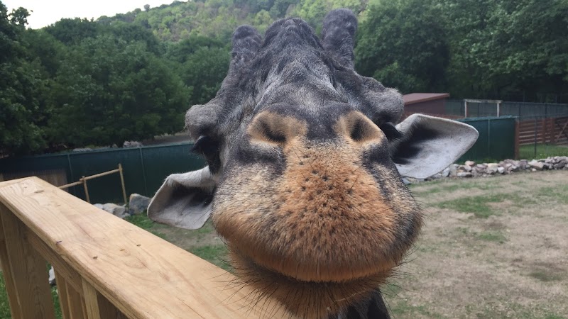 Photo of Lehigh Valley Zoo in New York