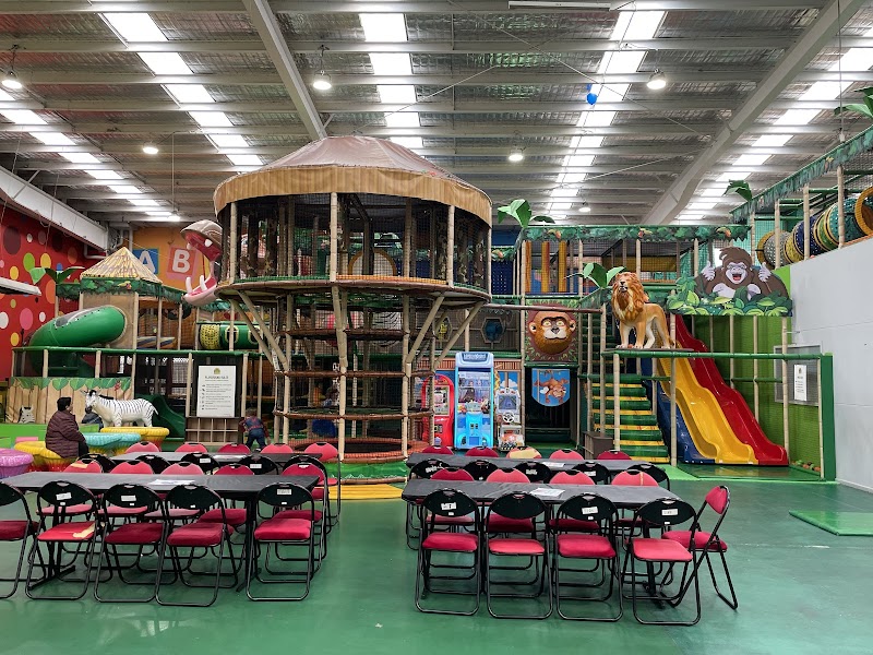 Leo's Kingdom Party & Play Centre Melbourne photo 3