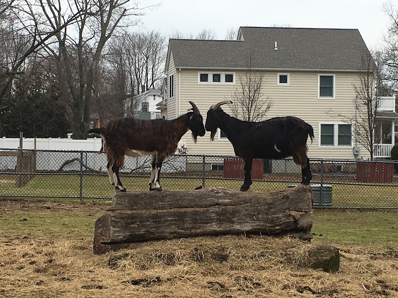 Lewis Oliver Farm Sanctuary