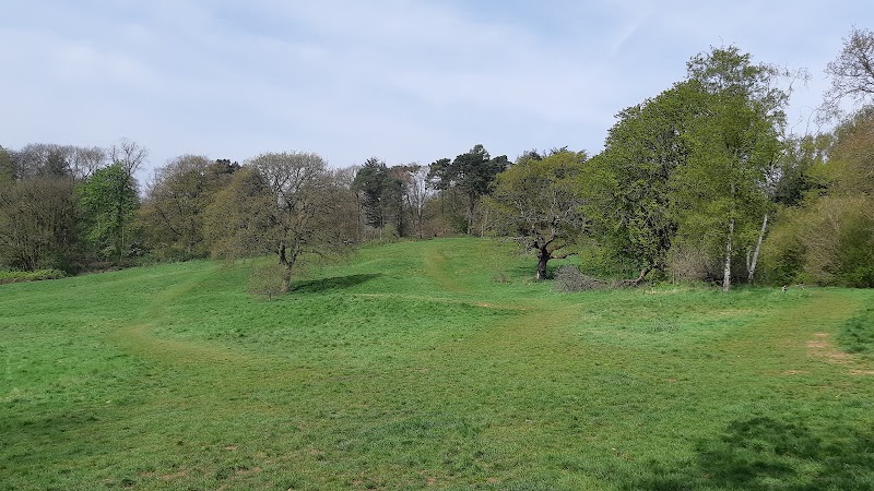 Ley Hill Park photo 2