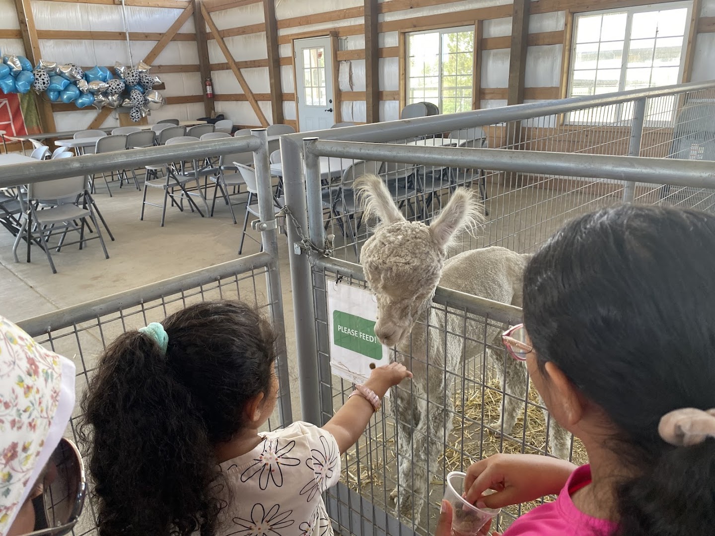 Lil' Buckaroo's Petting Zoo photo 2