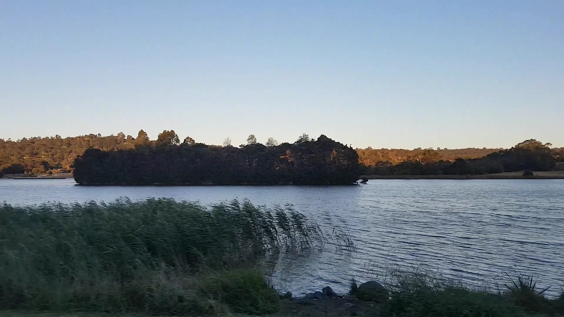 Lillydale Lake photo 2