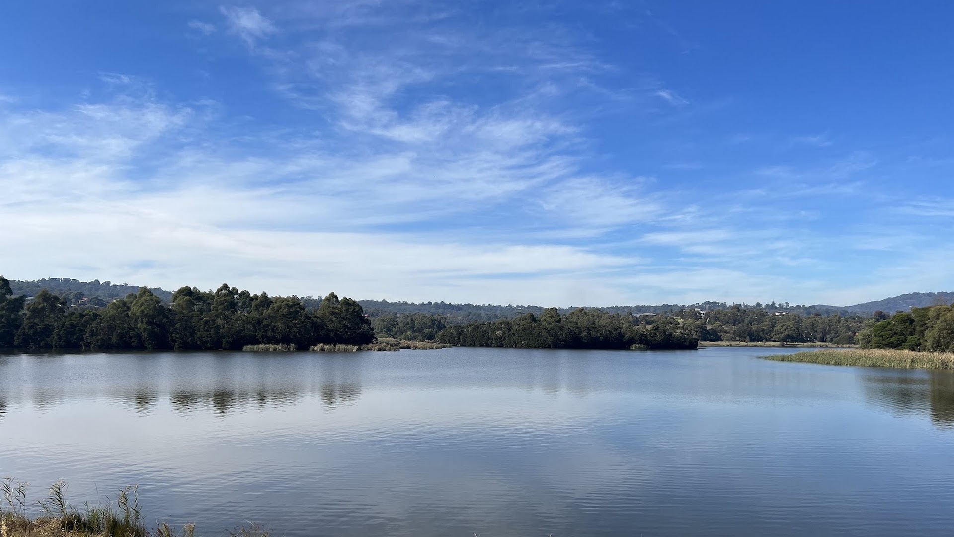 Lillydale Lake photo 3