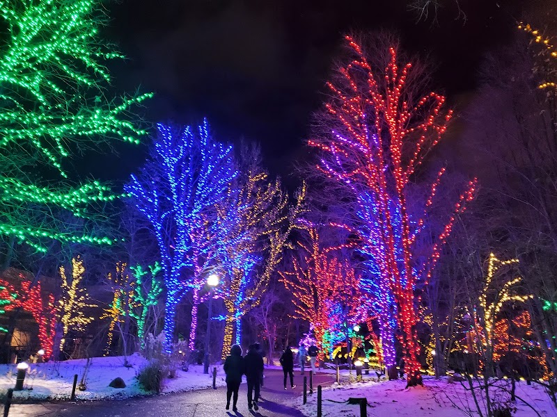 Lincoln Park Zoo photo 2