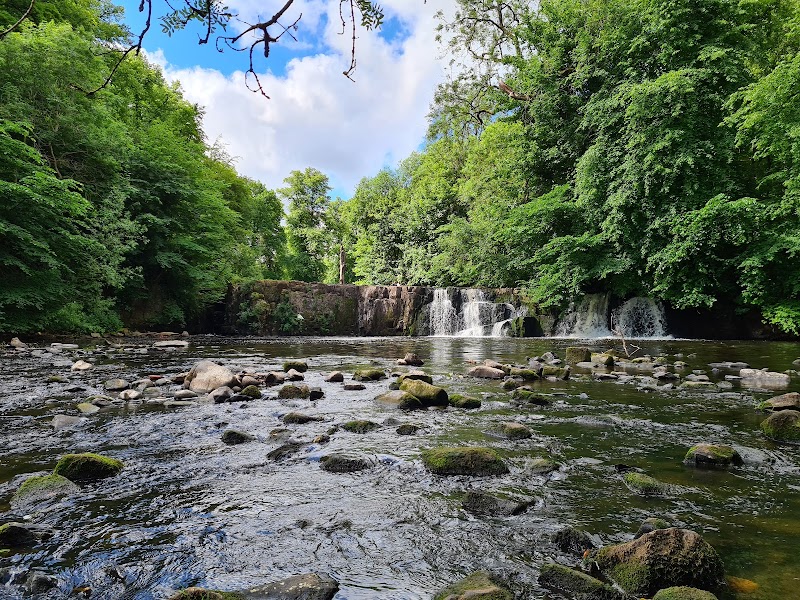 Linn Park photo 2