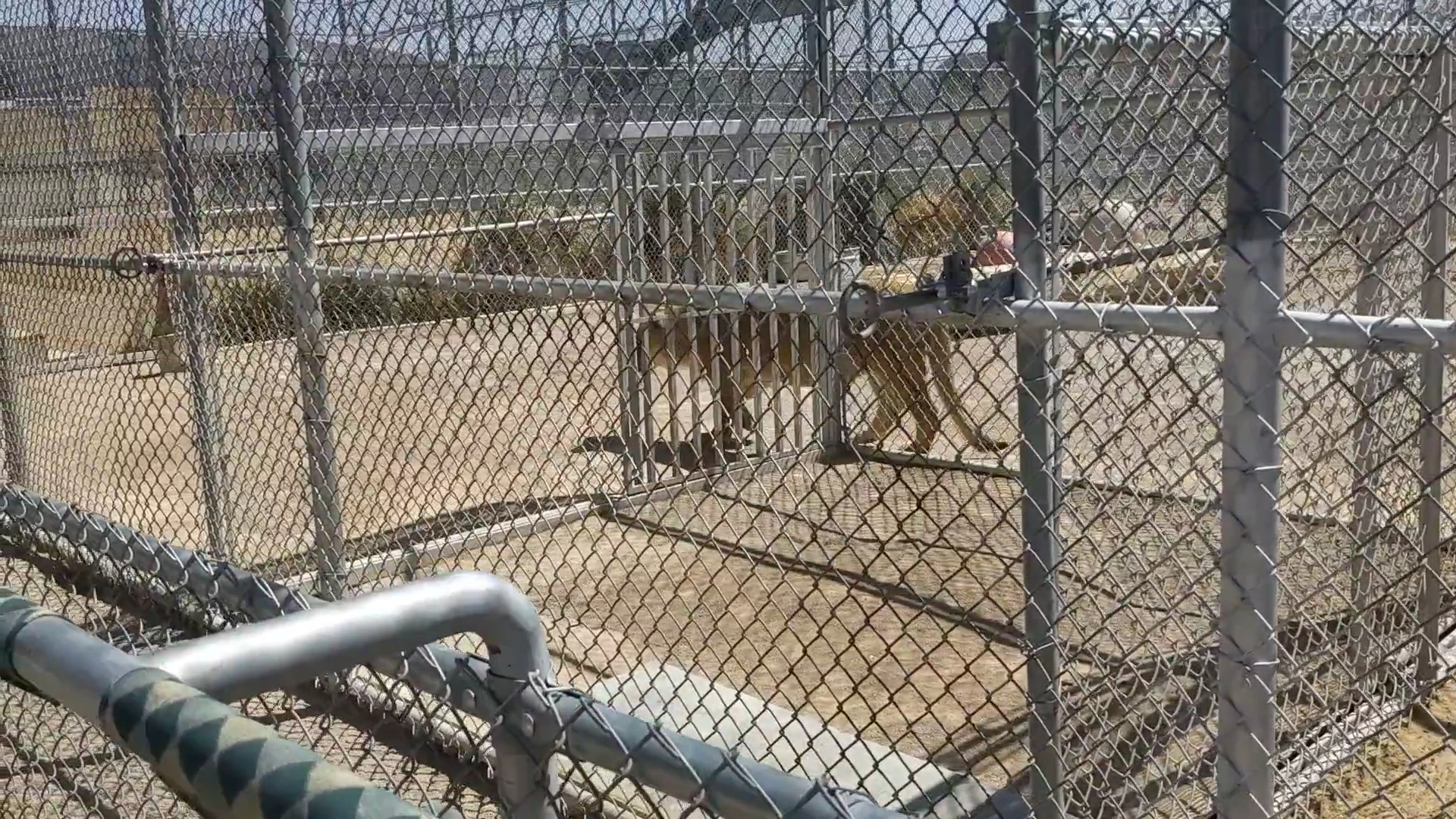 Lion Habitat Ranch inc photo 2