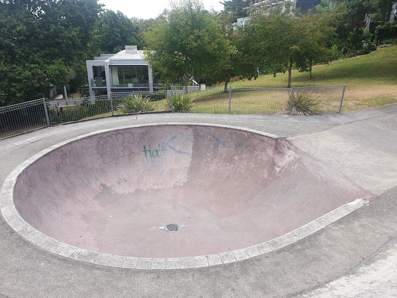 Little Rangitoto Skate Park photo 3